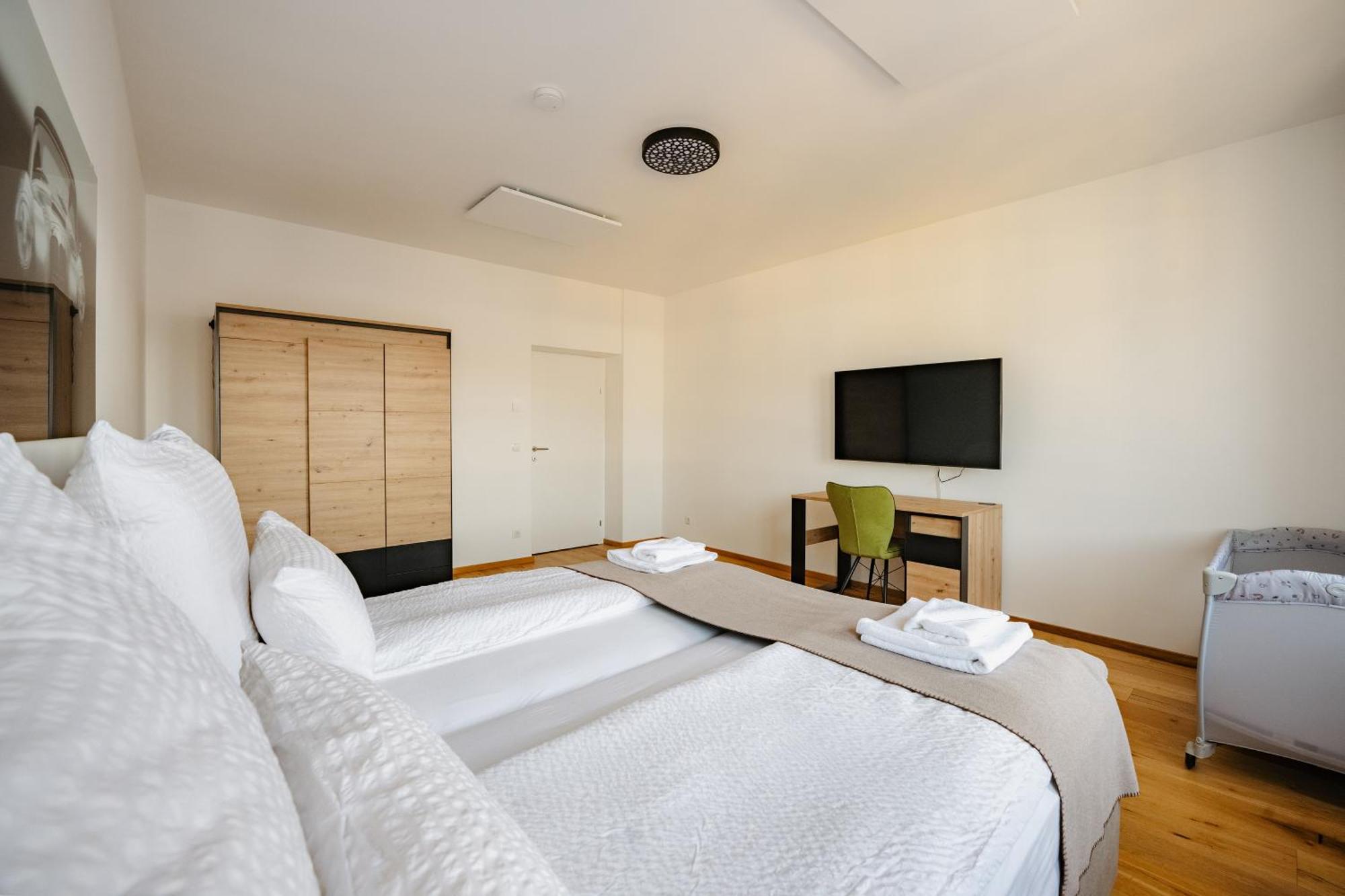 Tamliving Center Luxury 4 Rooms Smart Tv Kitchen Great View Грац Екстер'єр фото